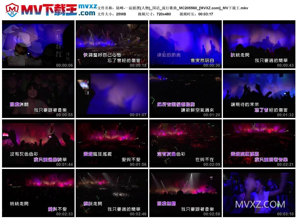 陆峰-一起摇摆(人物)_国语_流行歌曲_MC205560